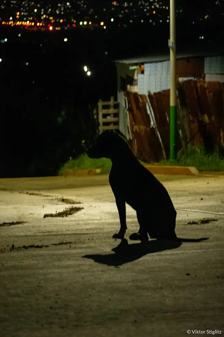 Guardián nocturno