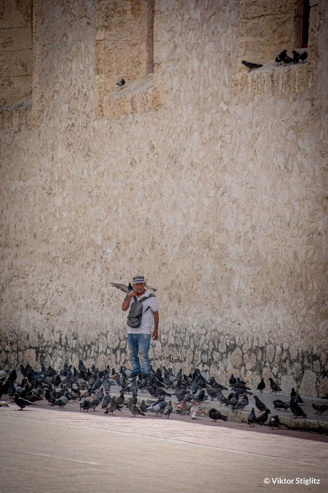 Cartagena de indias-37