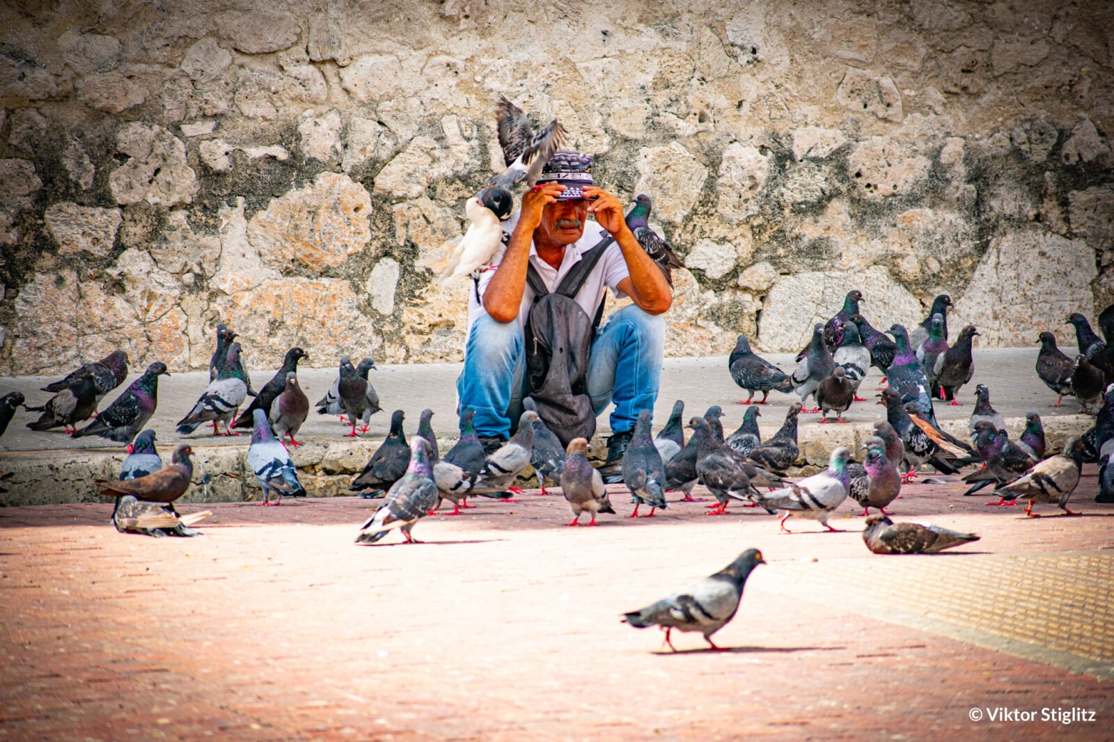 Cartagena de indias-39