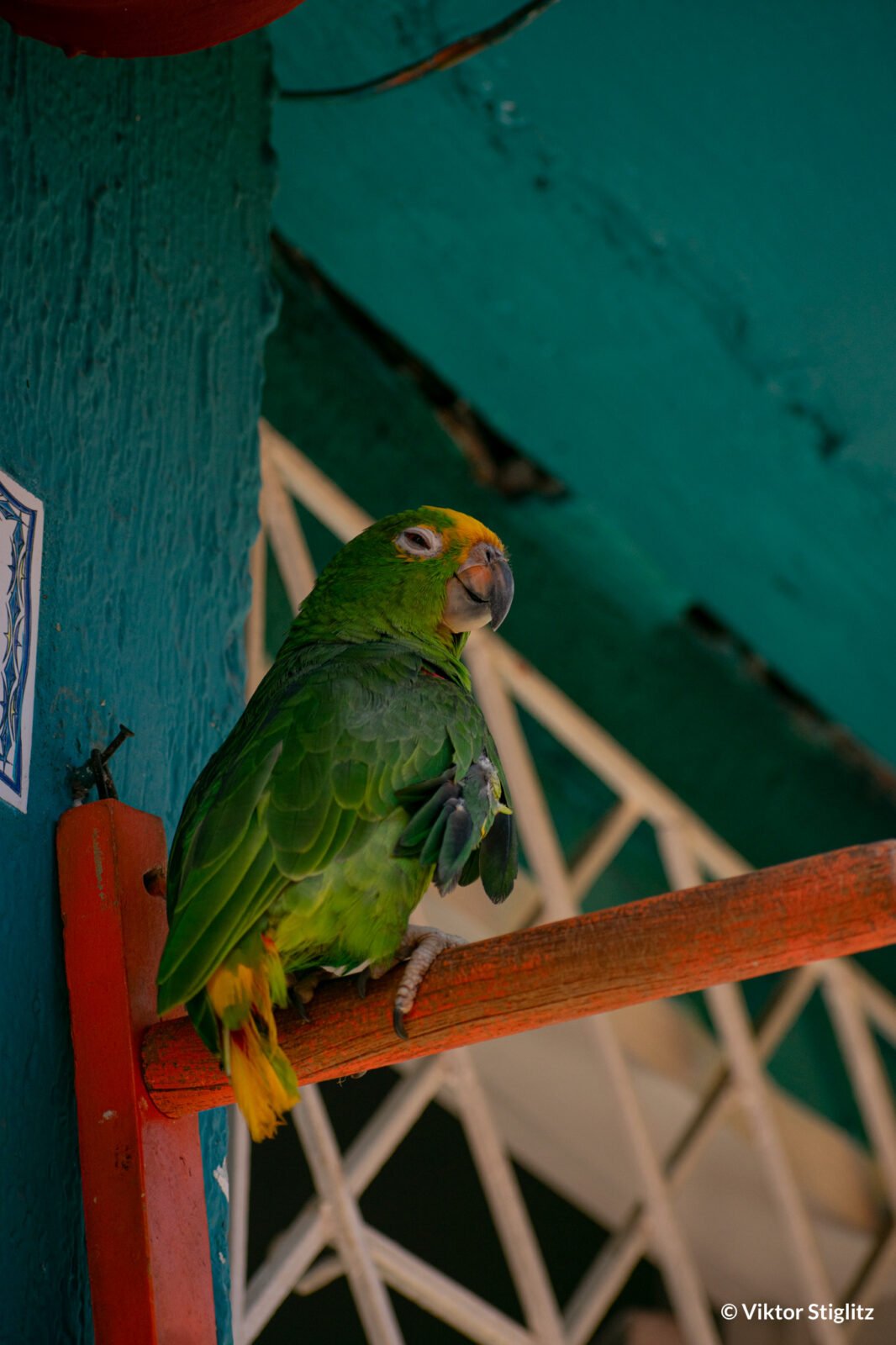 Cartagena de indias-4
